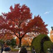 ヒメ日記 2024/12/23 00:02 投稿 ユリカ EN