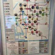 ヒメ日記 2024/12/23 22:37 投稿 ユリカ EN