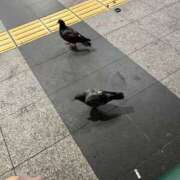 ヒメ日記 2025/01/03 21:14 投稿 ユリカ EN