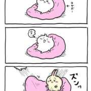 ヒメ日記 2026/10/01 12:23 投稿 さき いわき小名浜ちゃんこ