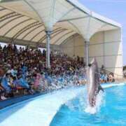 ヒメ日記 2025/08/15 09:15 投稿 りょうか 脱がされたい人妻 厚木店