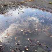 ヒメ日記 2025/09/11 08:30 投稿 りょうか 脱がされたい人妻 厚木店