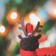 ヒメ日記 2024/12/24 16:04 投稿 しの 地元女子が勢揃い 宇都宮ガールズ