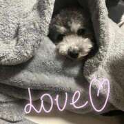 ヒメ日記 2026/01/07 08:13 投稿 はるか ニューグランド