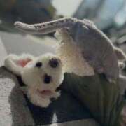 ヒメ日記 2026/01/26 12:28 投稿 はるか ニューグランド