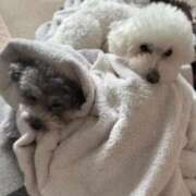 ヒメ日記 2026/03/06 08:54 投稿 はるか ニューグランド