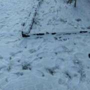 ヒメ日記 2026/02/09 07:57 投稿 みお未経験 マダム可憐