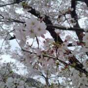 ヒメ日記 2026/04/05 23:06 投稿 みお未経験 マダム可憐