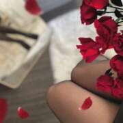 ヒメ日記 2025/02/16 13:42 投稿 桜木 雫 大阪貴楼館