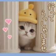 宮本 おはようございます💕 熟女待機所 厚木店