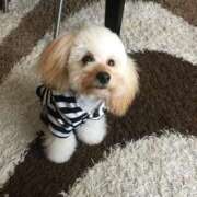 ヒメ日記 2025/05/14 22:21 投稿 あゆみ 紳士な僕はふんわり彼女の調教師