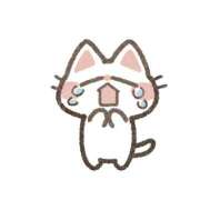 ヒメ日記 2024/12/21 06:17 投稿 あまね VIVIDCREW 梅田堂山店