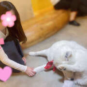 ヒメ日記 2025/05/14 02:21 投稿 あまね VIVIDCREW 梅田堂山店