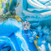 ヒメ日記 2025/06/13 02:08 投稿 あまね VIVIDCREW 梅田堂山店