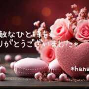 ヒメ日記 2024/12/24 22:40 投稿 はな エディーズ