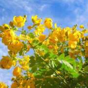 ヒメ日記 2025/02/05 22:50 投稿 はな エディーズ