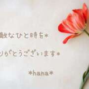 ヒメ日記 2025/02/24 22:50 投稿 はな エディーズ