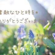 ヒメ日記 2025/03/17 22:36 投稿 はな エディーズ