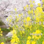 ヒメ日記 2025/03/26 22:36 投稿 はな エディーズ