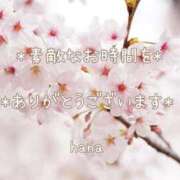 ヒメ日記 2025/04/02 22:46 投稿 はな エディーズ