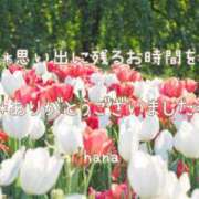 ヒメ日記 2025/04/06 22:46 投稿 はな エディーズ