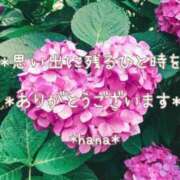 ヒメ日記 2025/06/08 22:36 投稿 はな エディーズ