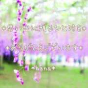 ヒメ日記 2025/08/04 22:49 投稿 はな エディーズ