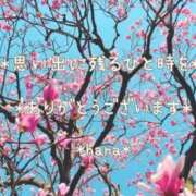 ヒメ日記 2025/10/12 22:36 投稿 はな エディーズ