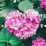 ヒメ日記 2025/11/10 22:46 投稿 はな エディーズ