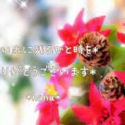ヒメ日記 2025/12/16 22:36 投稿 はな エディーズ
