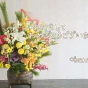 ヒメ日記 2026/01/01 22:46 投稿 はな エディーズ