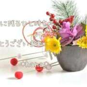 ヒメ日記 2026/01/04 22:46 投稿 はな エディーズ