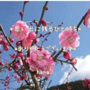 ヒメ日記 2026/02/12 22:36 投稿 はな エディーズ