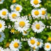 ヒメ日記 2026/03/01 22:46 投稿 はな エディーズ