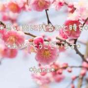 ヒメ日記 2026/04/06 22:46 投稿 はな エディーズ