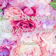 ヒメ日記 2026/04/11 22:36 投稿 はな エディーズ