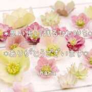 ヒメ日記 2026/06/13 22:46 投稿 はな エディーズ
