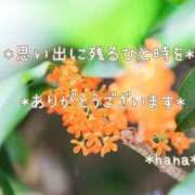 ヒメ日記 2026/07/12 22:36 投稿 はな エディーズ