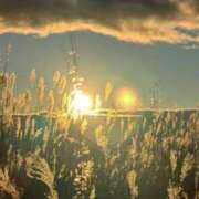 ヒメ日記 2024/12/20 02:24 投稿 金城いろは 五十路マダム金沢店