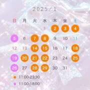 ヒメ日記 2024/12/15 19:00 投稿 みやび コートダジュール