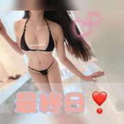 ヒメ日記 2024/12/18 12:17 投稿 みやび コートダジュール