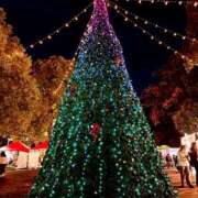 ヒメ日記 2024/12/19 18:32 投稿 みやび コートダジュール