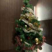 ヒメ日記 2024/12/30 07:00 投稿 みやび コートダジュール