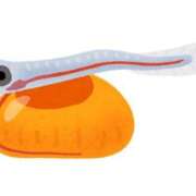 ヒメ日記 2025/01/13 18:03 投稿 みやび コートダジュール