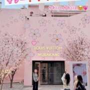 ヒメ日記 2025/03/27 17:01 投稿 みやび コートダジュール