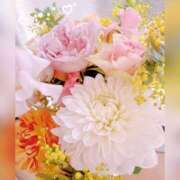 ヒメ日記 2025/04/18 19:02 投稿 みやび コートダジュール