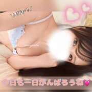 ヒメ日記 2025/06/11 10:37 投稿 みやび コートダジュール