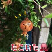 ヒメ日記 2025/08/29 18:45 投稿 みやび コートダジュール