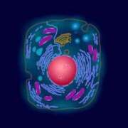 ヒメ日記 2025/10/31 12:16 投稿 みやび コートダジュール