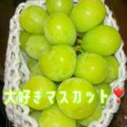 ヒメ日記 2025/11/03 15:46 投稿 みやび コートダジュール